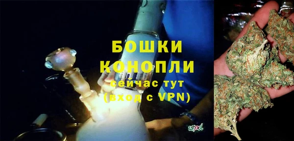 шишки Каменногорск