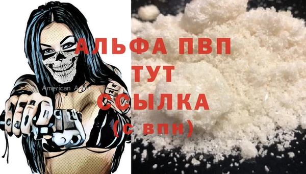 шишки Каменногорск