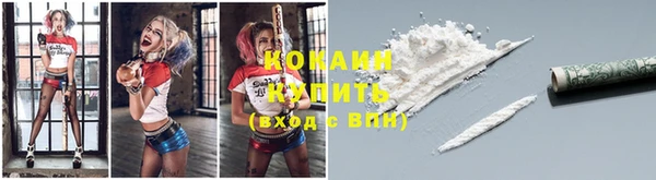 шишки Каменногорск
