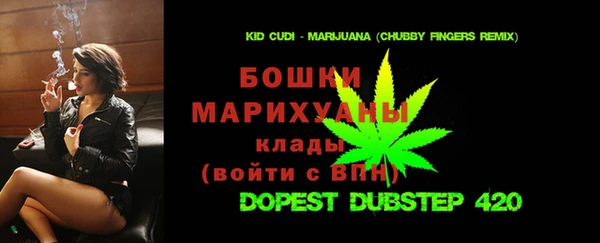 шишки Каменногорск