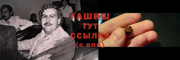 шишки Каменногорск