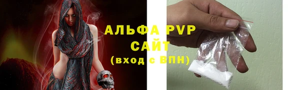 шишки Каменногорск