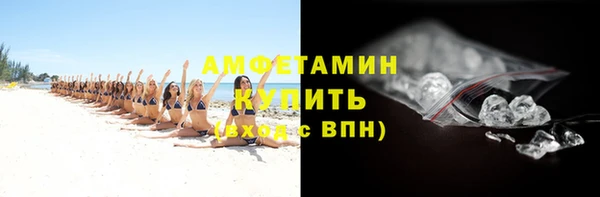шишки Каменногорск