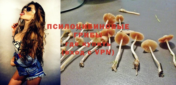 героин Каменка
