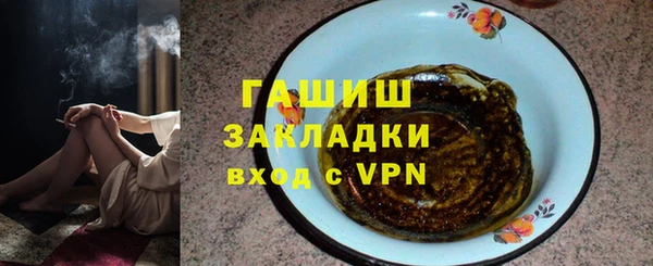 шишки Каменногорск