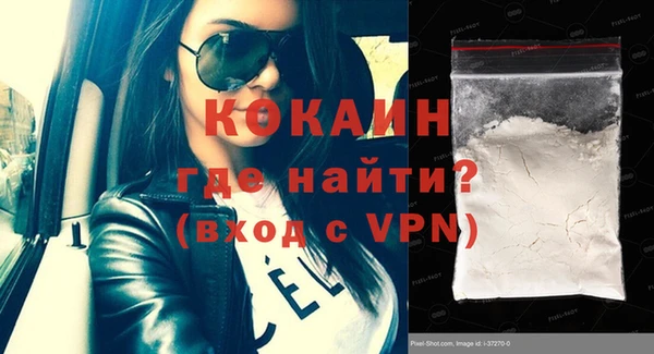 шишки Каменногорск