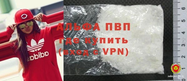 шишки Каменногорск