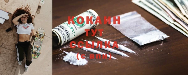 шишки Каменногорск